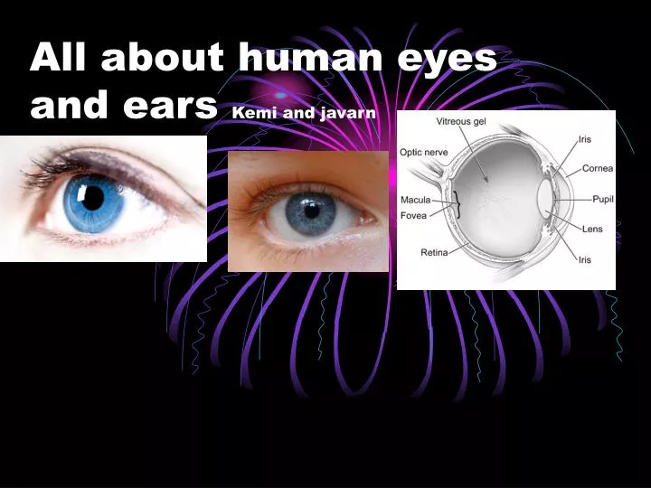 all about human eyes and ears kemi and javarn