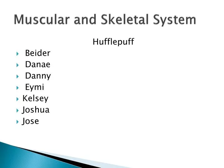 muscular and skeletal system