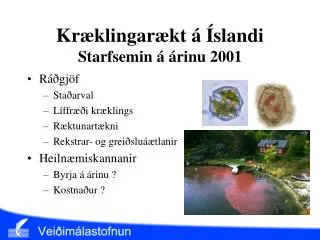 Kræklingarækt á Íslandi Starfsemin á árinu 2001
