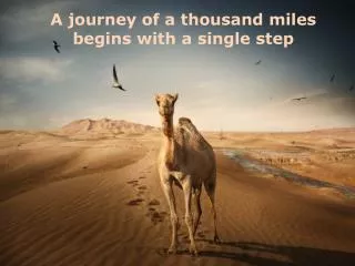 a journey of a thousand miles begins with a single step