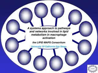 A systems approach to pathways and networks involved in lipid metabolism in macrophage activation