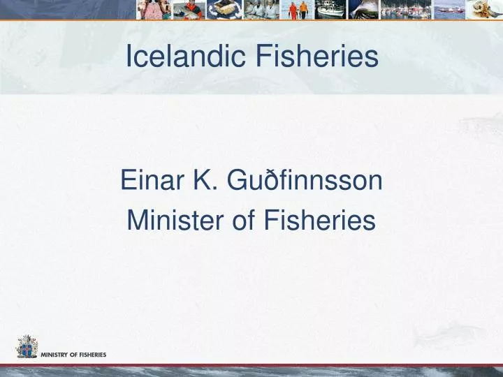 icelandic fisheries