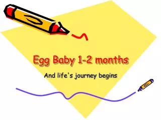 Egg Baby 1-2 months