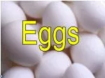 Eggs - slide 1