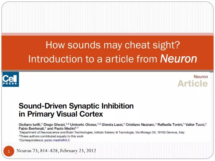how sounds may cheat sight introduction to a article from neuron
