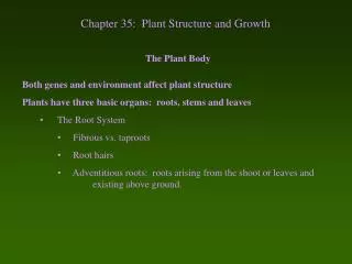 Chapter 35: Plant Structure and Growth
