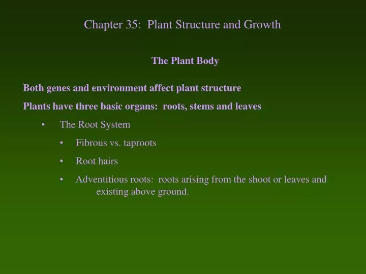 chapter 35 plant structure and growth