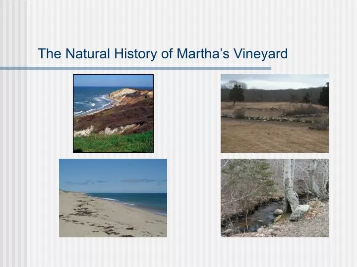 the natural history of martha s vineyard