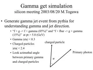 Gamma get simulation silicon meeting 2003/08/20 M.Togawa