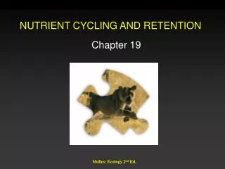 NUTRIENT CYCLING AND RETENTION