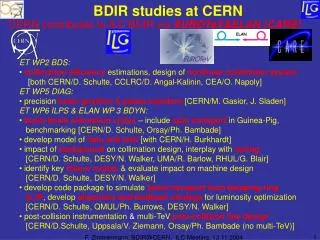 BDIR studies at CERN