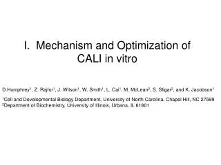 I. Mechanism and Optimization of CALI in vitro