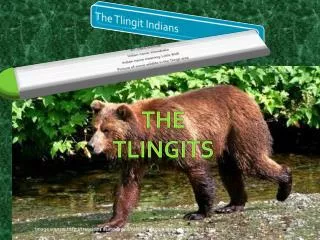 The Tlingits