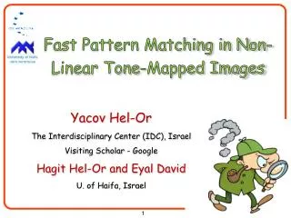 Fast Pattern Matching in Non-Linear Tone-Mapped Images