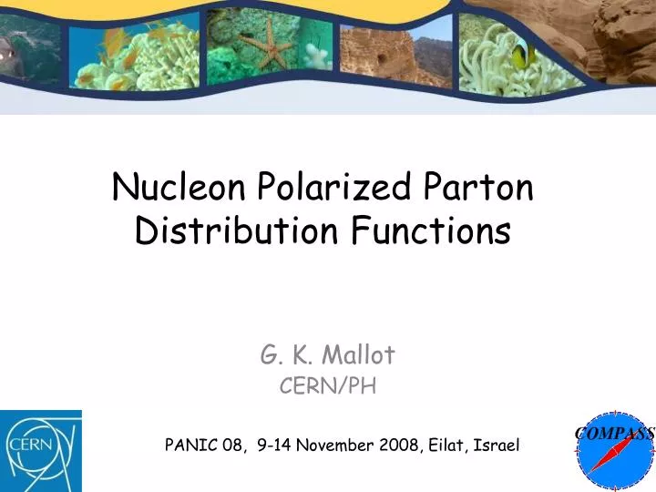 nucleon polarized parton distribution functions