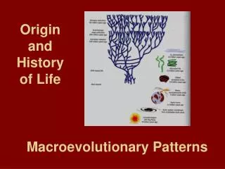 Origin and History of Life