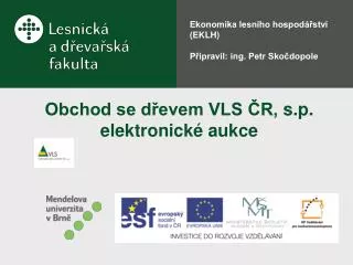 obchod se d evem vls r s p elektronick aukce