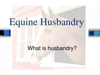 What is husbandry?