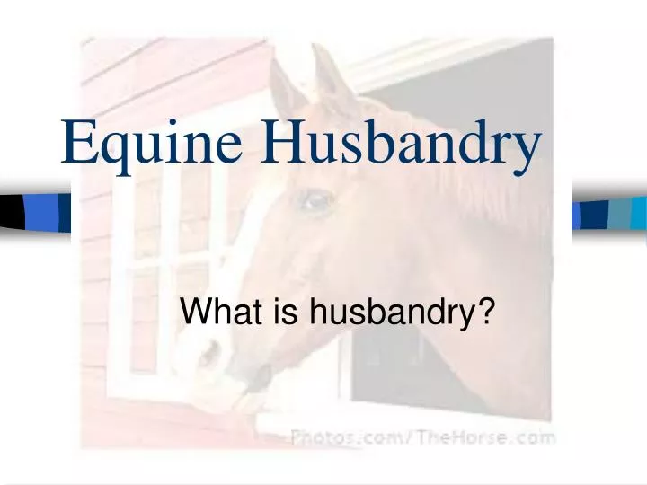 what is husbandry