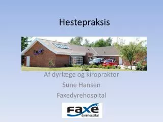 hestepraksis