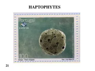 HAPTOPHYTES