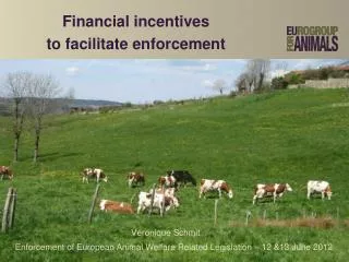 Financial incentives to facilitate enforcement