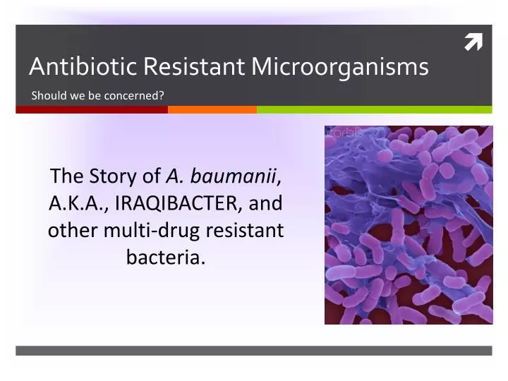 antibiotic resistant microorganisms