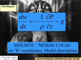MOLOCH : ‘MOdello LOCale’ on ‘H’ coordinates. Model description