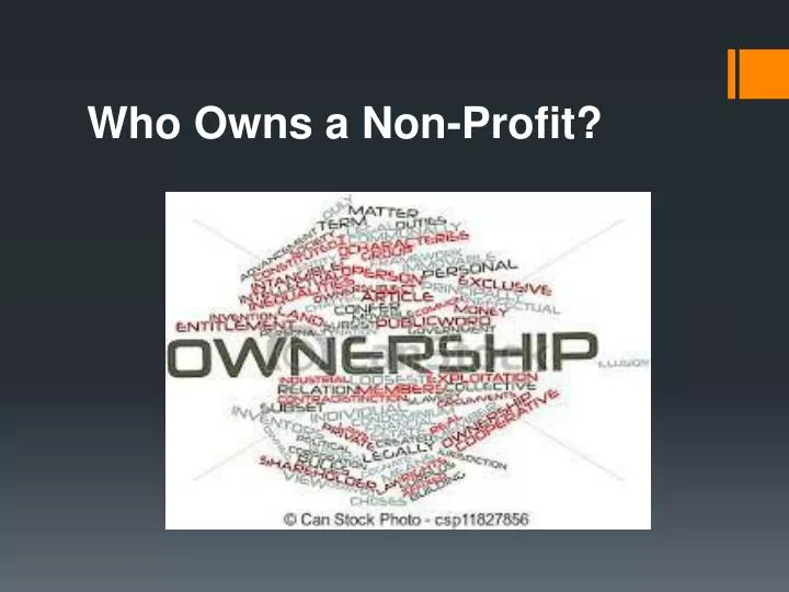 who owns a non profit