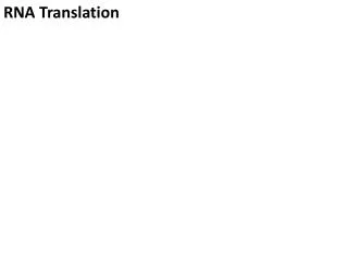 RNA Translation