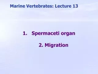 Spermaceti organ 2. Migration