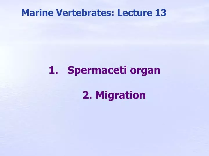 marine vertebrates lecture 13