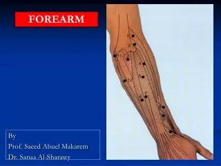 By Prof. Saeed Abuel Makarem Dr. Sanaa Al- Sharawy
