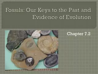 Fossils: Our Keys to the Past and Evidence of Evolution