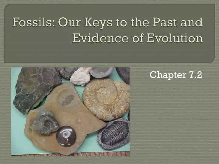fossils our keys to the past and evidence of evolution