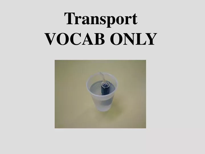 transport vocab only