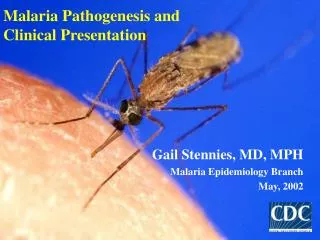 Malaria Pathogenesis and Clinical Presentation