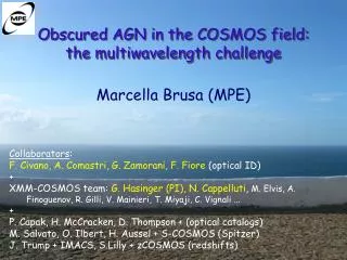 Obscured AGN in the COSMOS field: the multiwavelength challenge