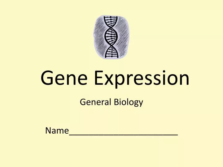 gene expression