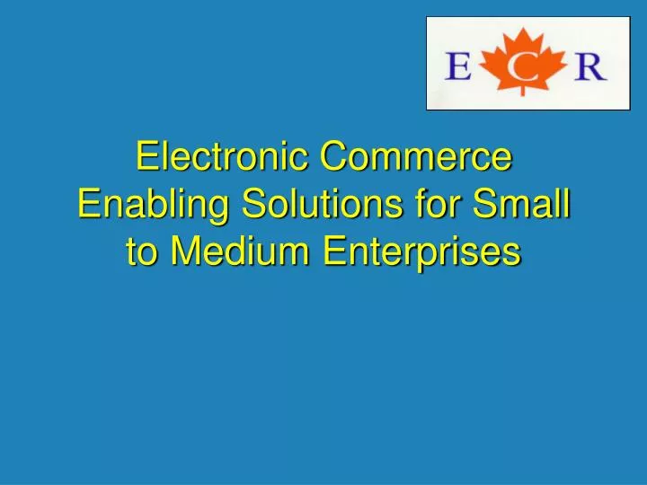 electronic commerce enabling solutions for small to medium enterprises