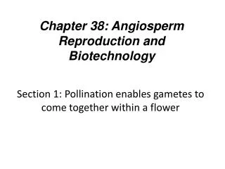 Section 1: Pollination enables gametes to come together within a flower