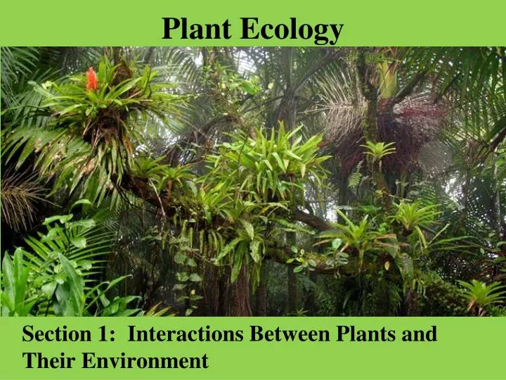 plant ecology