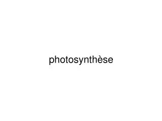 photosynth se