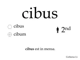 cibus