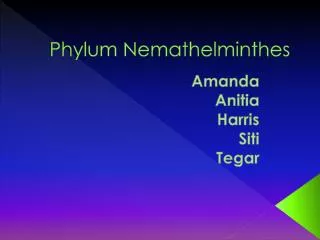 phylum nemathelminthes