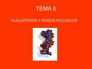 tema 6
