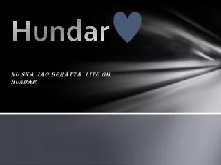 hundar