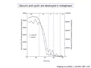 Hagting et al (2002) J. Cell Biol. 157 : 1125