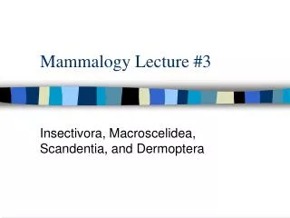 Mammalogy Lecture #3