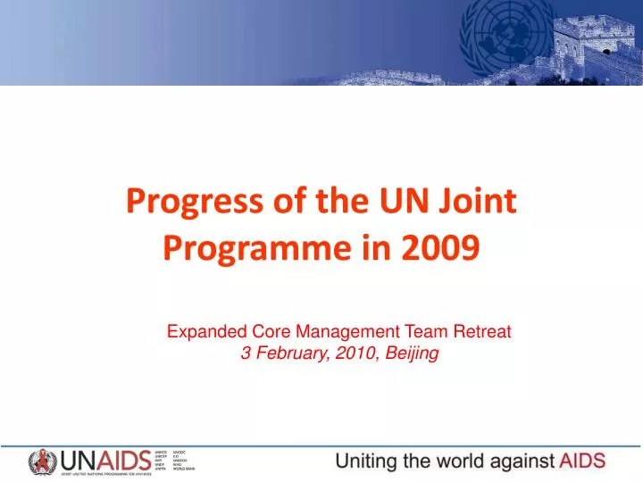 progress of the un joint programme in 2009